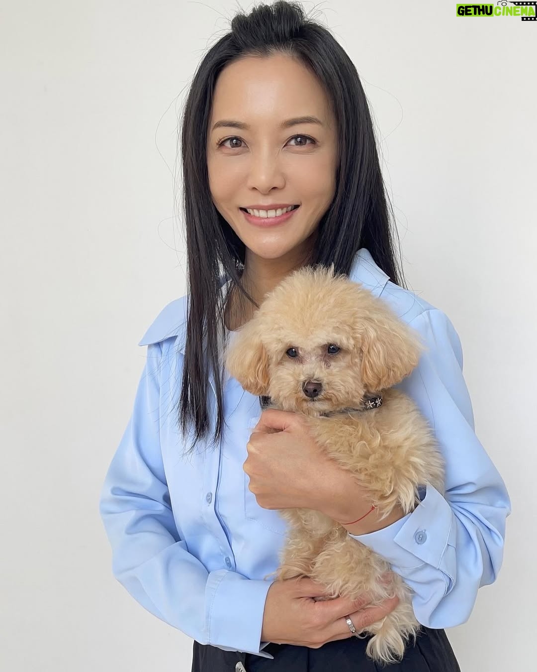 Pei-Pei Ho - 1.3K Likes - 脫軌的人生或許很難重回正軌,
不過,誰能確保返回軌道就能一路平安到終點?!
DiDi 比金邦妮輕耶!
抱起來一點感覺都沒有😳而且很文靜
不自覺面對他的所有動作都會放輕
回家給邦妮量體重😤
上衣 裙子 @fula_tw #芙菈
#何蓓蓓 #貴賓狗 #玩具貴賓犬 #玩偶 #doll #好運來 #lucky #八點檔