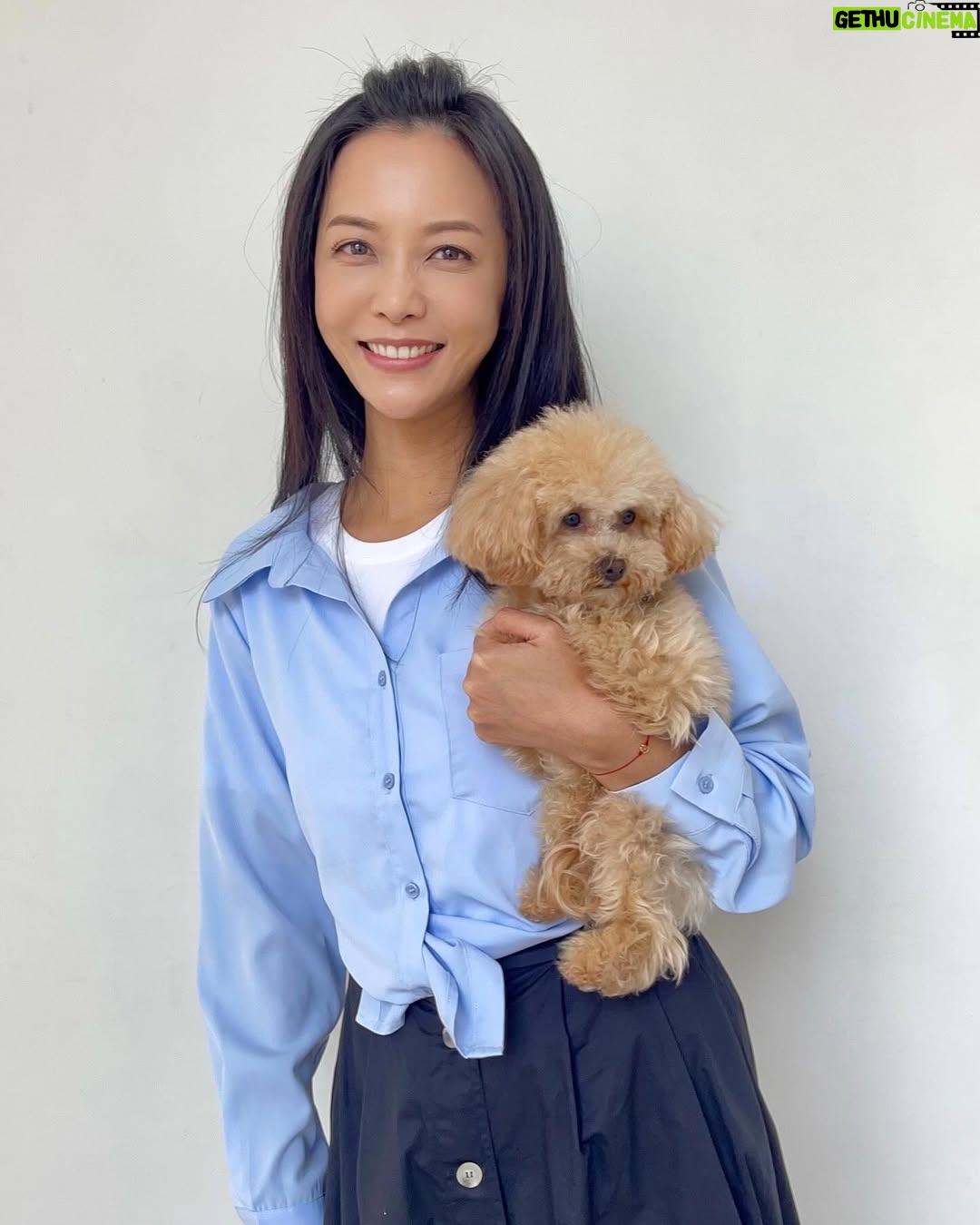 Pei-Pei Ho - 1.3K Likes - 脫軌的人生或許很難重回正軌,
不過,誰能確保返回軌道就能一路平安到終點?!
DiDi 比金邦妮輕耶!
抱起來一點感覺都沒有😳而且很文靜
不自覺面對他的所有動作都會放輕
回家給邦妮量體重😤
上衣 裙子 @fula_tw #芙菈
#何蓓蓓 #貴賓狗 #玩具貴賓犬 #玩偶 #doll #好運來 #lucky #八點檔