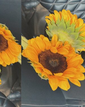 Preethi Pagadala Instagram - Soft smiles, pretty flowers, good vibes as always 😝🫶🏼