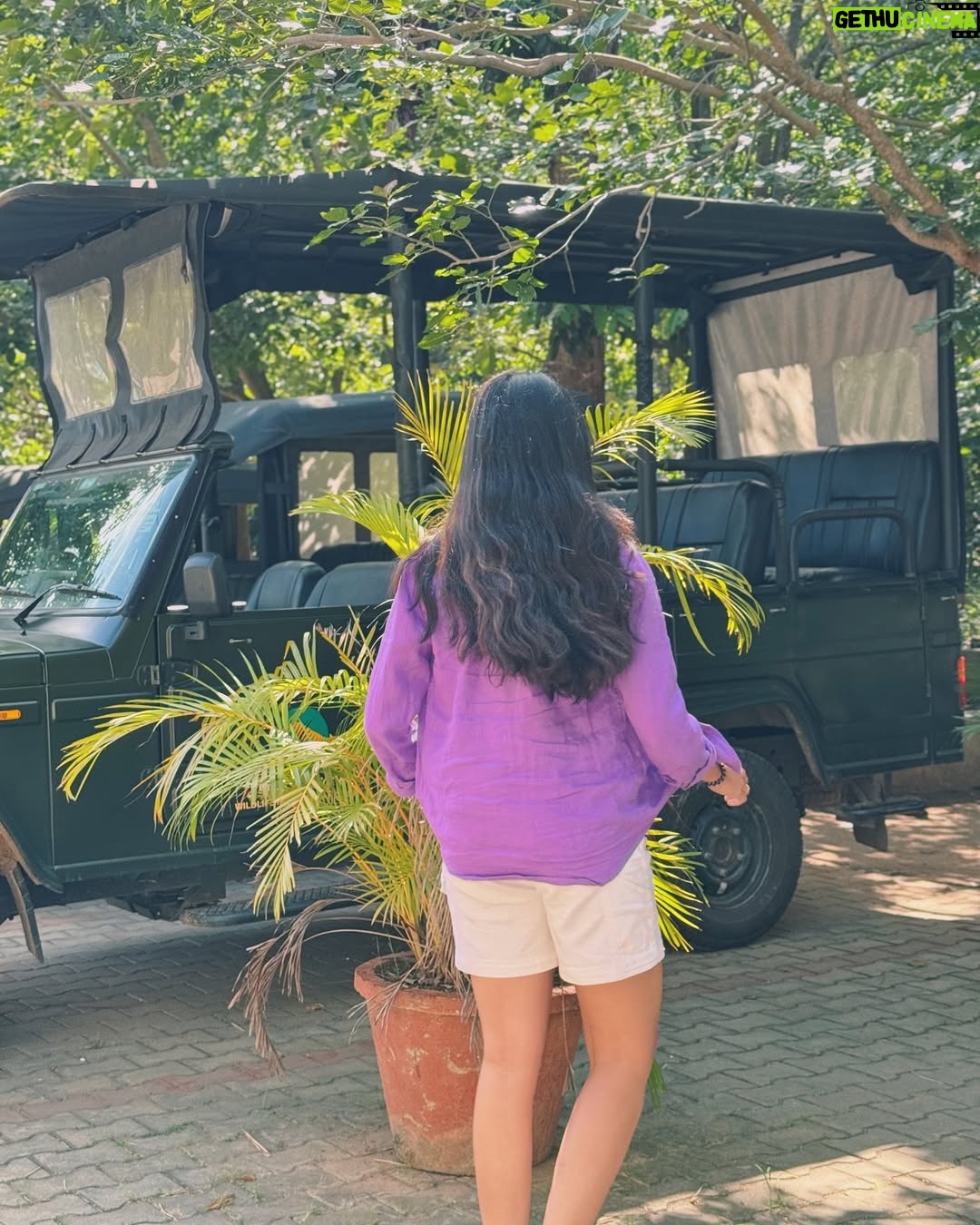 Preethi Pagadala - 35.6K Likes - Tourist Preethi is the best Preethi 🐘