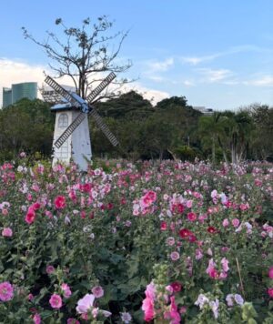 Preeyaphat Lawsuwansiri Instagram - 𓍢ָ໋🌸✧ ༘ ⋆.