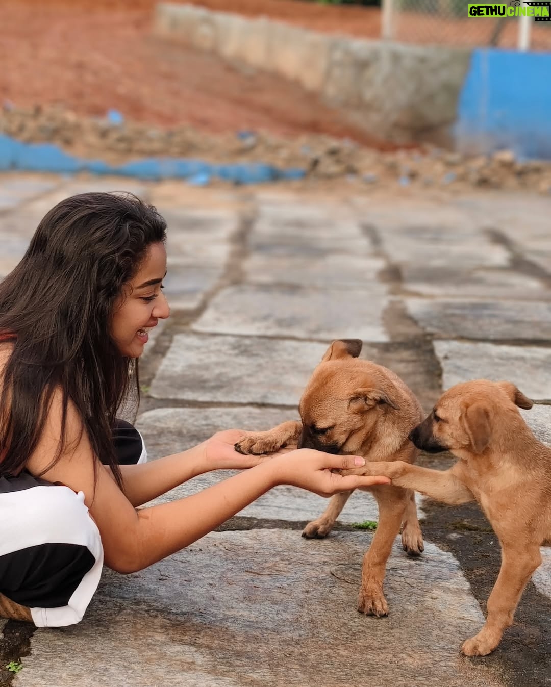 Priya J Achar - 30.7K Likes -