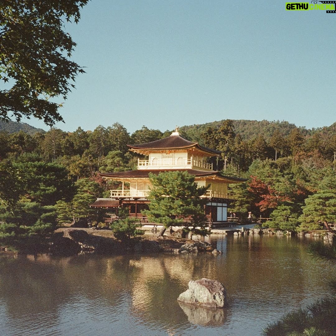 Rina Lipa - 30.6K Likes - tokyo,kyoto,bangkok and seoul on film ‘24 🫂