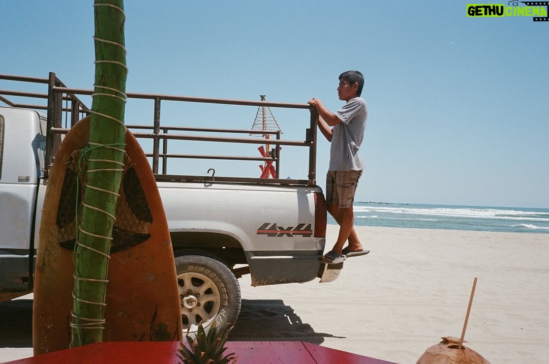 Rina Lipa - 30.9K Likes - the colours of mexico on film ❤️
