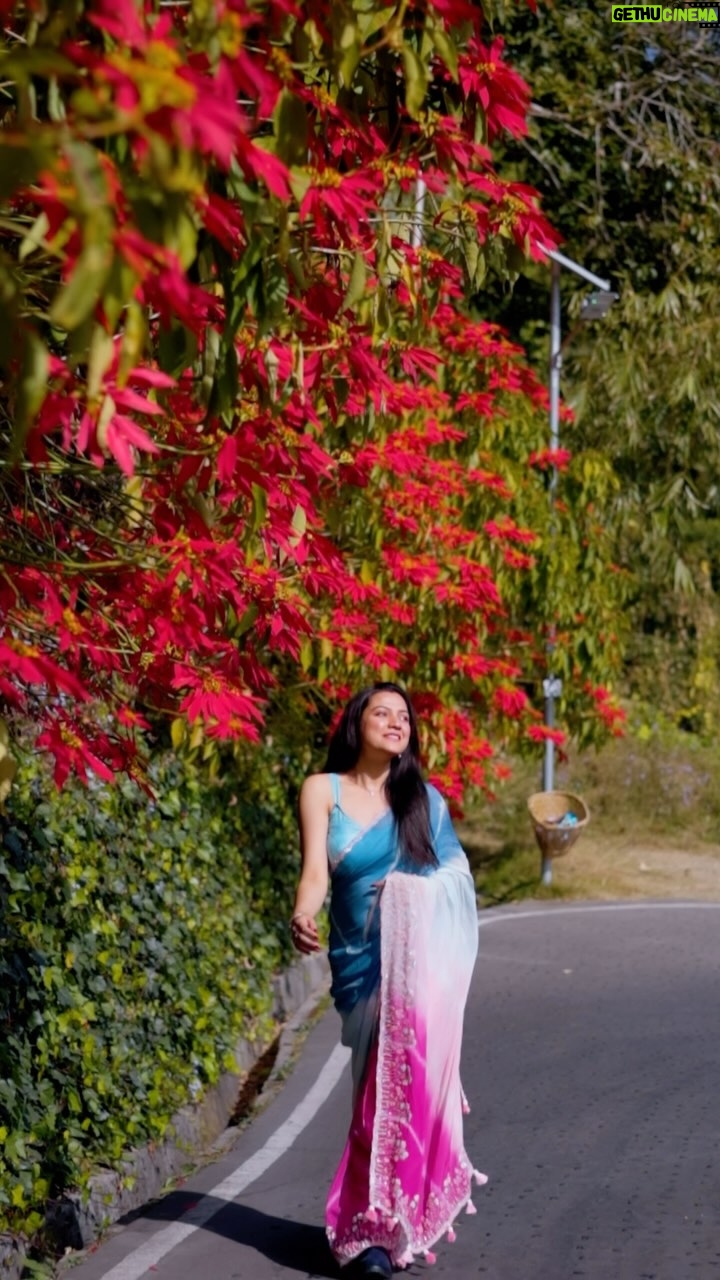Ritu Rai Achary - 10.5K Likes - Saree love -  @sareeedits_  @sampurna_dey_100 captured by - @channa__chara  #reels #viral #saree #sareelove