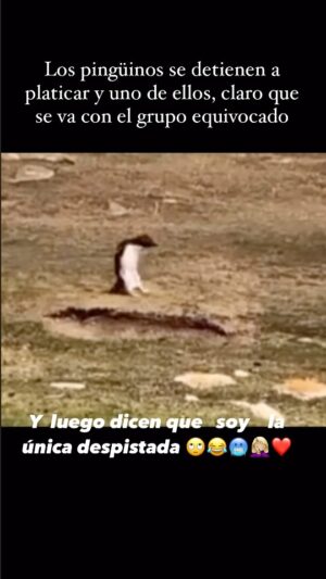 Sabine Moussier Instagram - Sin palabras 😂❤️😂