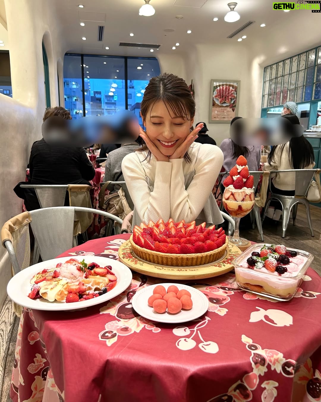 Saeko Kamimura - 8.9K Likes - .
.
昨日の放送で、Nスタを卒業しました。
様々なニュースをお伝えしたりプレゼンをしたりするなかで、『すたすた中継』のコーナーが始まり、話題のスポットから生中継も担当。最後の出演日は、ホランさんのゆかりの地 渋谷区の桜ヶ丘のさくらの様子をお届けしました。
2021年6月から約4年Nスタを担当し、桜に関するトピックや中継も何度も取り上げたことを思い出し、長く番組に関わらせてもらえたことを幸せに思いながら、しみじみと感謝の気持ちに浸りました🌸🌸
スタジオで出演者のみなさんと写真が撮れなかったので、送別会のデータをもらってからまた後日更新したいと思います!
ひとまず、Nスタで中継にいった写真を掘り起こしてみました。今までご覧いただき本当にありがとうございました😊
#Nスタ