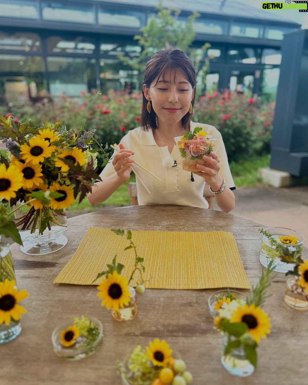 Saeko Kamimura - 8.9K Likes - .
.
昨日の放送で、Nスタを卒業しました。
様々なニュースをお伝えしたりプレゼンをしたりするなかで、『すたすた中継』のコーナーが始まり、話題のスポットから生中継も担当。最後の出演日は、ホランさんのゆかりの地 渋谷区の桜ヶ丘のさくらの様子をお届けしました。
2021年6月から約4年Nスタを担当し、桜に関するトピックや中継も何度も取り上げたことを思い出し、長く番組に関わらせてもらえたことを幸せに思いながら、しみじみと感謝の気持ちに浸りました🌸🌸
スタジオで出演者のみなさんと写真が撮れなかったので、送別会のデータをもらってからまた後日更新したいと思います!
ひとまず、Nスタで中継にいった写真を掘り起こしてみました。今までご覧いただき本当にありがとうございました😊
#Nスタ