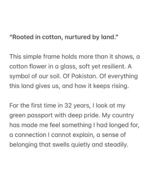 Saheefa Jabbar Khattak Instagram - Rooted in cotton, nurtured by land. #PakistanZindabad  #PauseAndBreathe