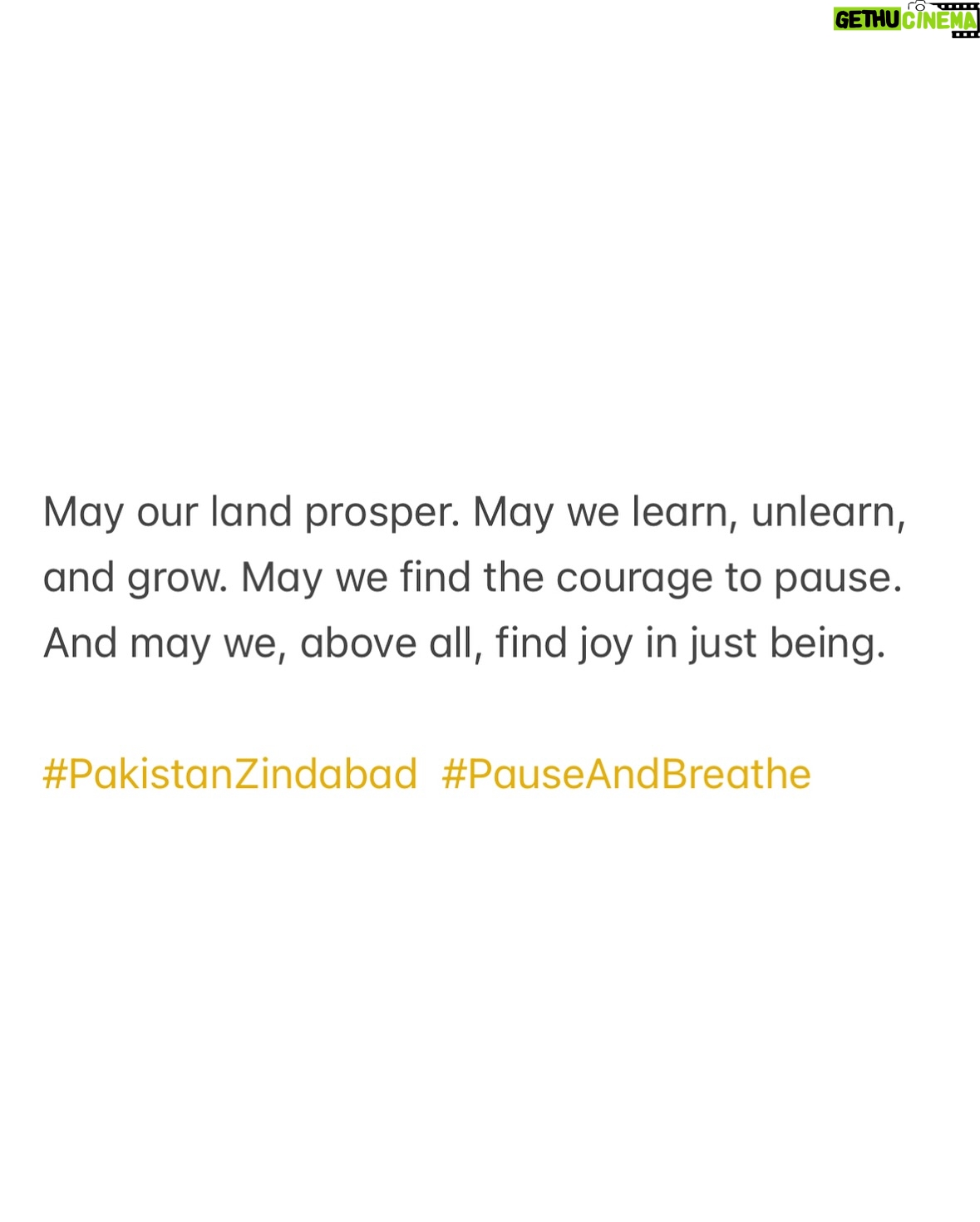 Saheefa Jabbar Khattak - 645 Likes - Rooted in cotton, nurtured by land. #PakistanZindabad #PauseAndBreathe