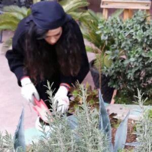 Sara Khoeniha Instagram - نهالی بکاریم تا زمین نفسی تازه کند و همراهش شویم برای استقبال از بهاری که در راه است ،که همواره رسم خوبی برای تازه شدن دارد …روییدن ! 
 🌱🙏🏻💚🌲🌳
۱۵ اسفند روز درختکاری گرامی 
#روز_درختکاری #اهمیت_به_محیط_زیست #نفس_زمین_باشیم #برای_نسل_آینده #کاشتن_به_جای_کشتن #سبز