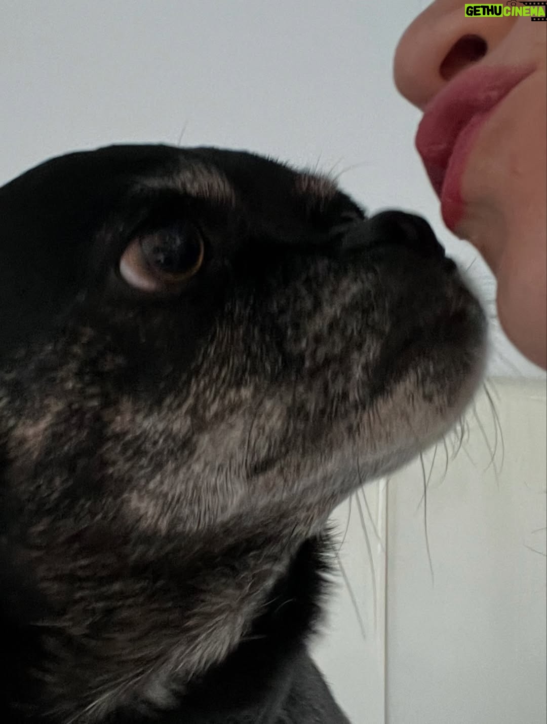 Sarah Hay - 1.7K Likes - 💋🐕🦺🐾🌭🥹