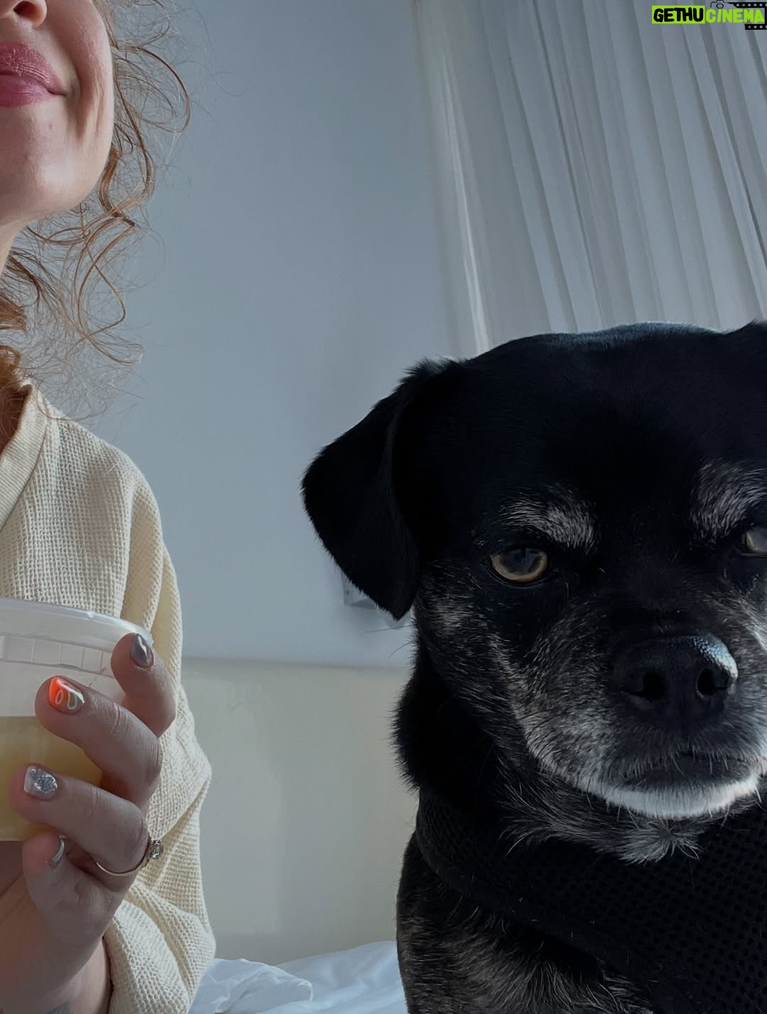 Sarah Hay - 1.7K Likes - 💋🐕🦺🐾🌭🥹