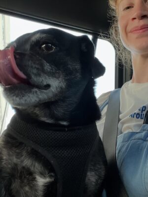 Sarah Hay Instagram - 💋🐕‍🦺🐾🌭🥹