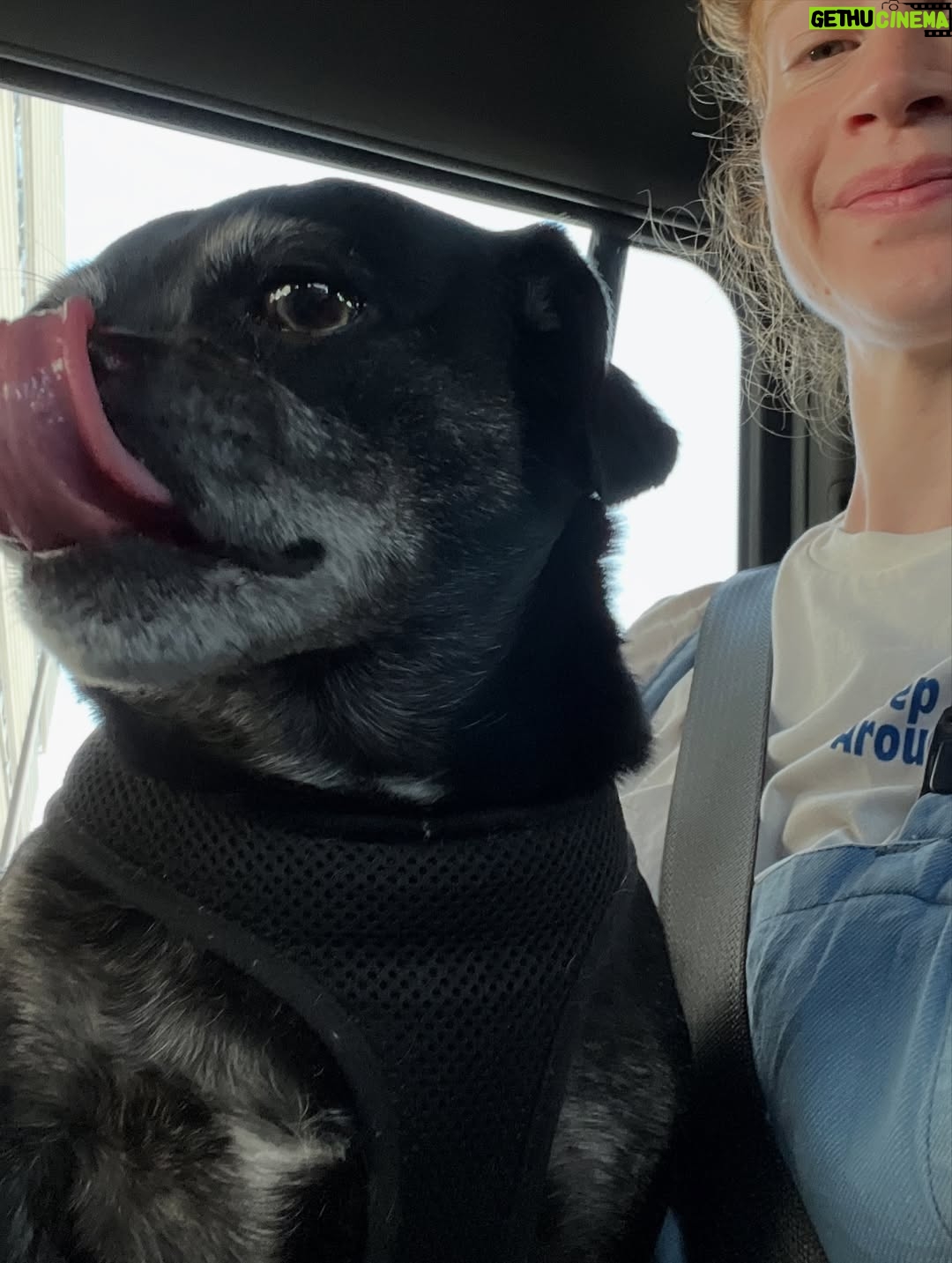 Sarah Hay - 1.7K Likes - 💋🐕🦺🐾🌭🥹