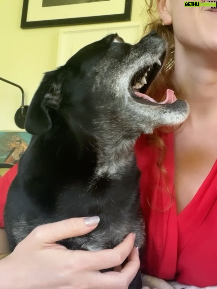 Sarah Hay - 1.7K Likes - 💋🐕🦺🐾🌭🥹