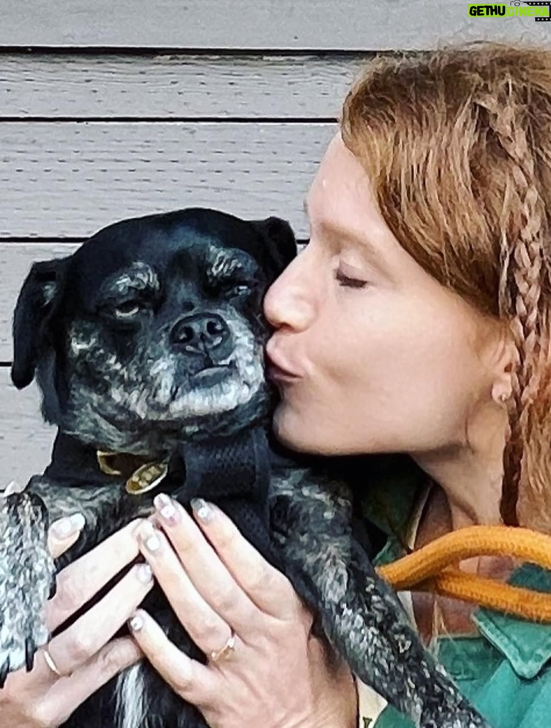 Sarah Hay - 1.7K Likes - 💋🐕🦺🐾🌭🥹