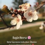Selda Alkor
