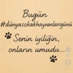 Selda Alkor