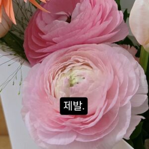 Seo Yu-ri Instagram - 편견 없이 바라봐 주시길 부탁드립니다.

최근에도 게임 녹음, 지상파 프로그램 출연 등 다양한 활동을 꾸준히 이어가고 있습니다.
그러나 과거 인연을 정리하는 과정에서 발생한 부채로 인해, 아직 모든 상황이 충분히 해소되지는 못한 실정입니다.

특히, X와의 합의금은 작년 12월 말까지 지급받기로 되어 있었으나, X가 파산을 신청함에 따라
지금까지 단 한 푼도 돌려받지 못했고, 그로 인해 어려움이 더욱 가중되었습니다.

저는 파산이나 회생 절차를 밟고 싶지 않습니다.
비록 제 스스로 만든 빚은 아니지만, 제 책임이 일부 있다고 생각하기에, 끝까지 최선을 다해 책임을 다하고자 합니다.

다만, 사실과 다른 추측성 기사나 무분별한 보도로 인해 저뿐 아니라 주변까지 상처를 입고 있는 상황입니다.

부디 확인되지 않은 내용을 확대하거나 자극적으로 소비하는 일을 자제해 주시길 간곡히 부탁드립니다.

부정적인 시선과 무분별한 소문은 제게 큰 짐이 됩니다.
저를 믿고 함께해 주시는 고마운 분들께 부담을 드리지 않기 위해 더욱 성실히 노력하고 있습니다.

부디 따뜻한 마음으로 지켜봐 주시기를 부탁드립니다.
제가 끝까지 책임을 다할 수 있도록, 응원과 격려를 보내주시면 진심으로 감사하겠습니다.