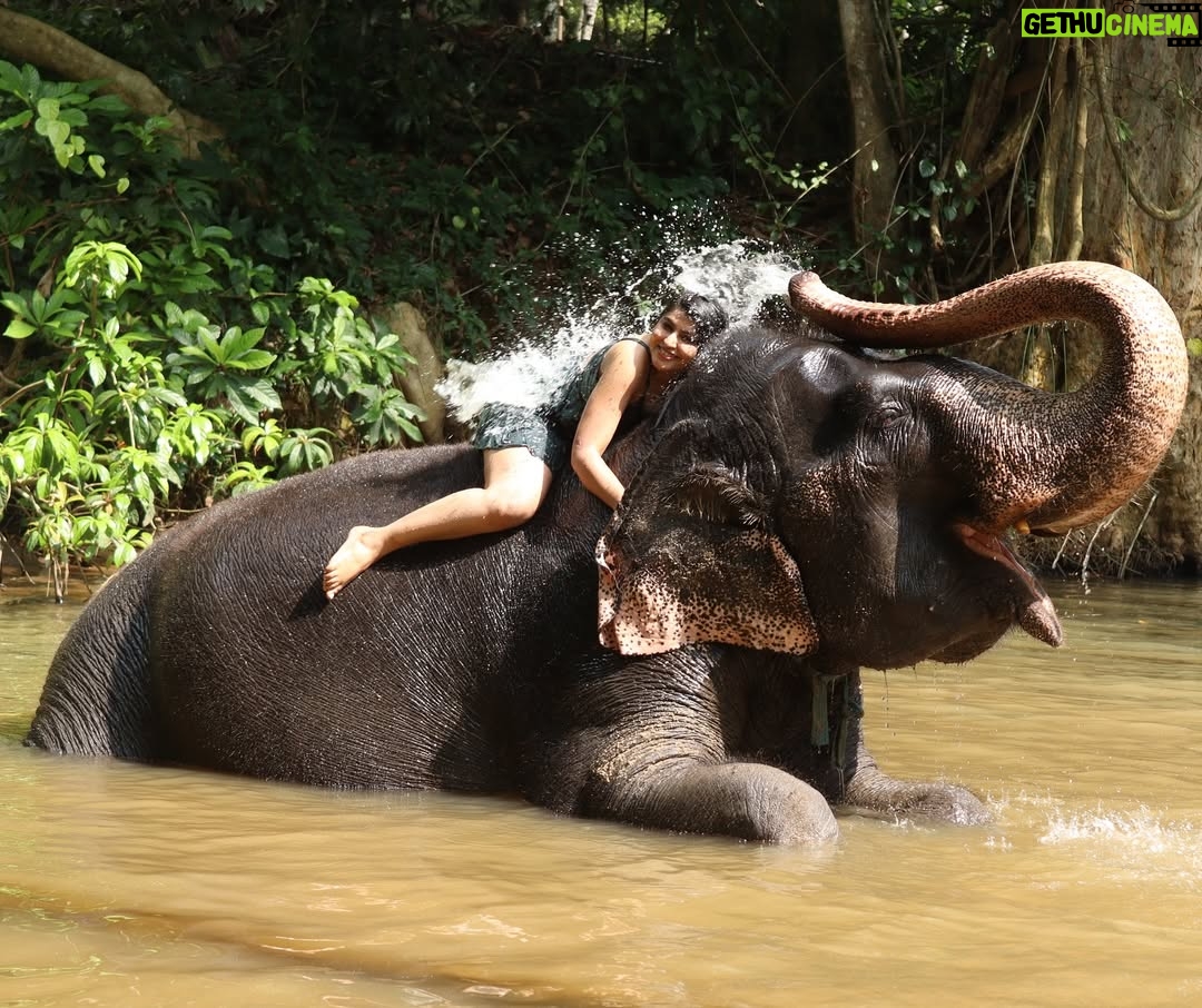 Sharanya - 38.6K Likes - A day with poooja 🐘❤️
Pc @sharanshetty8088
#pooja #elephant #sharanyashetty #srilanka #travel #sharanya #cutelilelephant #🇱🇰 #vacation #staycation #india #travellor