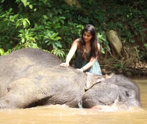 Sharanya Instagram - A day with poooja 🐘❤️

Pc @sharanshetty8088 

#pooja #elephant #sharanyashetty #srilanka #travel #sharanya #cutelilelephant #🇱🇰 #vacation #staycation #india #travellor