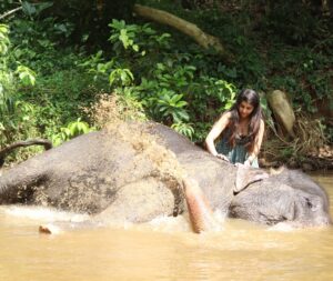 Sharanya Instagram - A day with poooja 🐘❤️

Pc @sharanshetty8088 

#pooja #elephant #sharanyashetty #srilanka #travel #sharanya #cutelilelephant #🇱🇰 #vacation #staycation #india #travellor