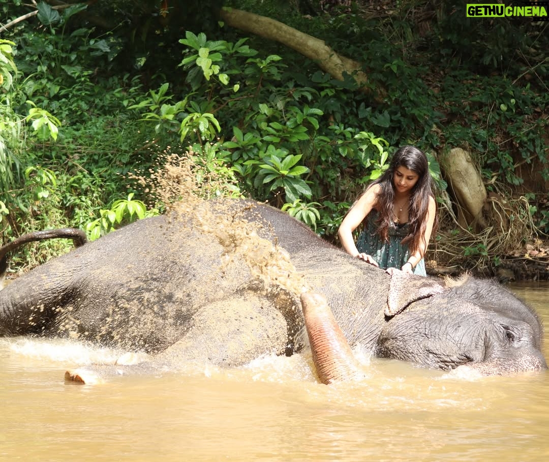 Sharanya - 38.6K Likes - A day with poooja 🐘❤️
Pc @sharanshetty8088
#pooja #elephant #sharanyashetty #srilanka #travel #sharanya #cutelilelephant #🇱🇰 #vacation #staycation #india #travellor