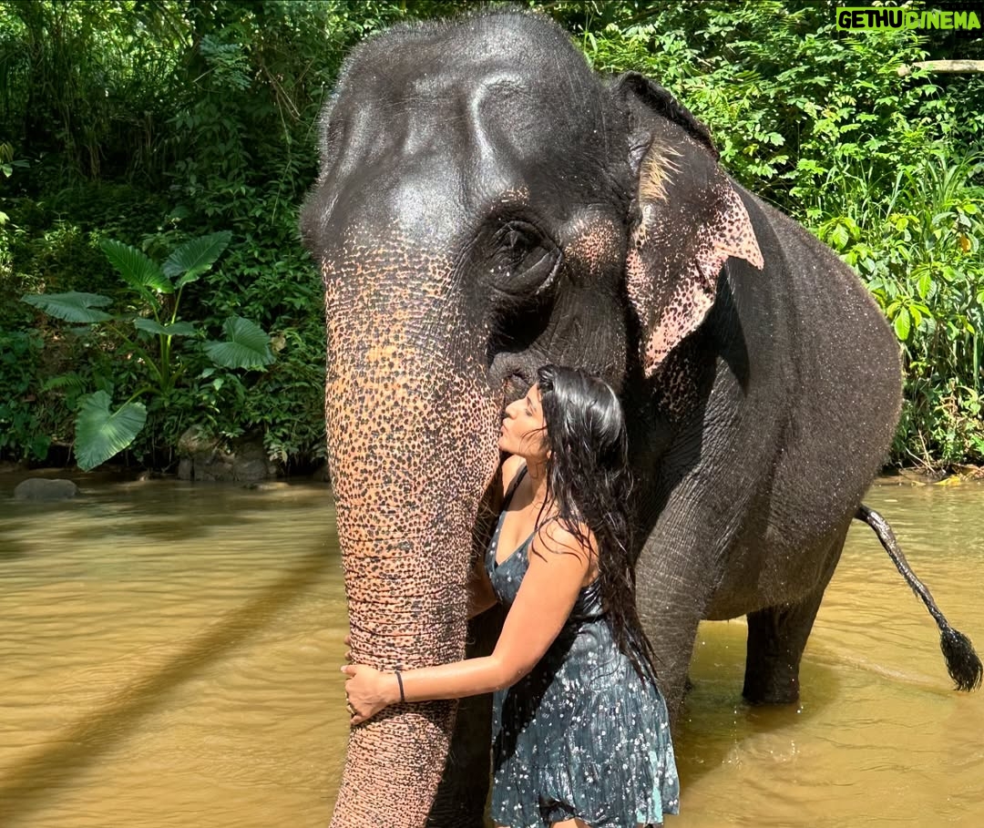 Sharanya - 38.6K Likes - A day with poooja 🐘❤️
Pc @sharanshetty8088
#pooja #elephant #sharanyashetty #srilanka #travel #sharanya #cutelilelephant #🇱🇰 #vacation #staycation #india #travellor