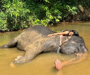 Sharanya Instagram - A day with poooja 🐘❤️

Pc @sharanshetty8088 

#pooja #elephant #sharanyashetty #srilanka #travel #sharanya #cutelilelephant #🇱🇰 #vacation #staycation #india #travellor