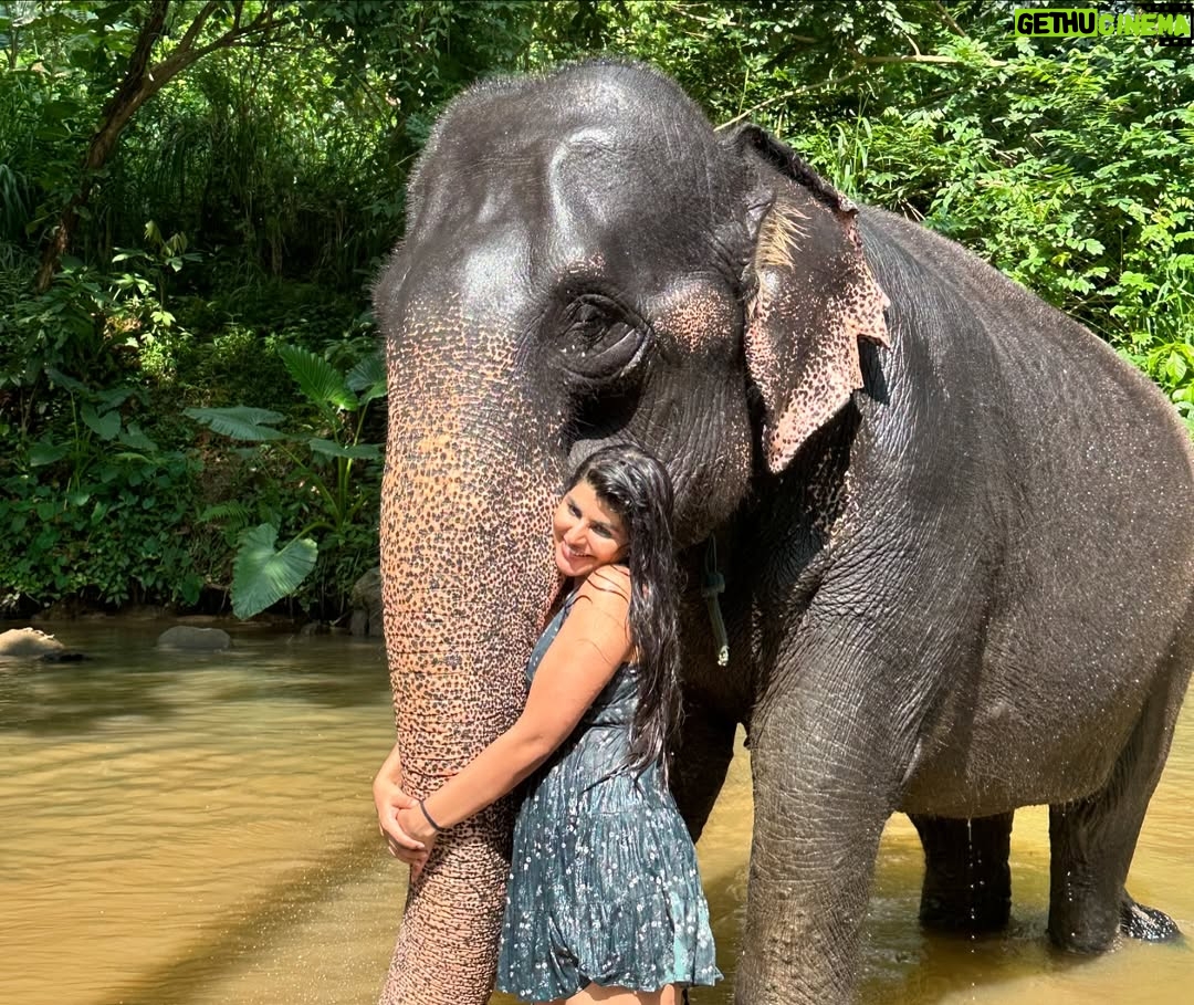 Sharanya - 38.6K Likes - A day with poooja 🐘❤️
Pc @sharanshetty8088
#pooja #elephant #sharanyashetty #srilanka #travel #sharanya #cutelilelephant #🇱🇰 #vacation #staycation #india #travellor