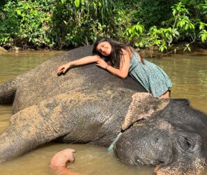 Sharanya Instagram - A day with poooja 🐘❤️

Pc @sharanshetty8088 

#pooja #elephant #sharanyashetty #srilanka #travel #sharanya #cutelilelephant #🇱🇰 #vacation #staycation #india #travellor