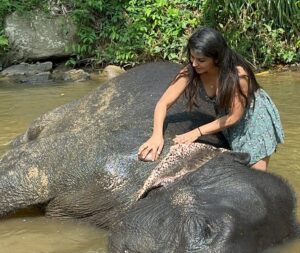 Sharanya Instagram - A day with poooja 🐘❤️

Pc @sharanshetty8088 

#pooja #elephant #sharanyashetty #srilanka #travel #sharanya #cutelilelephant #🇱🇰 #vacation #staycation #india #travellor
