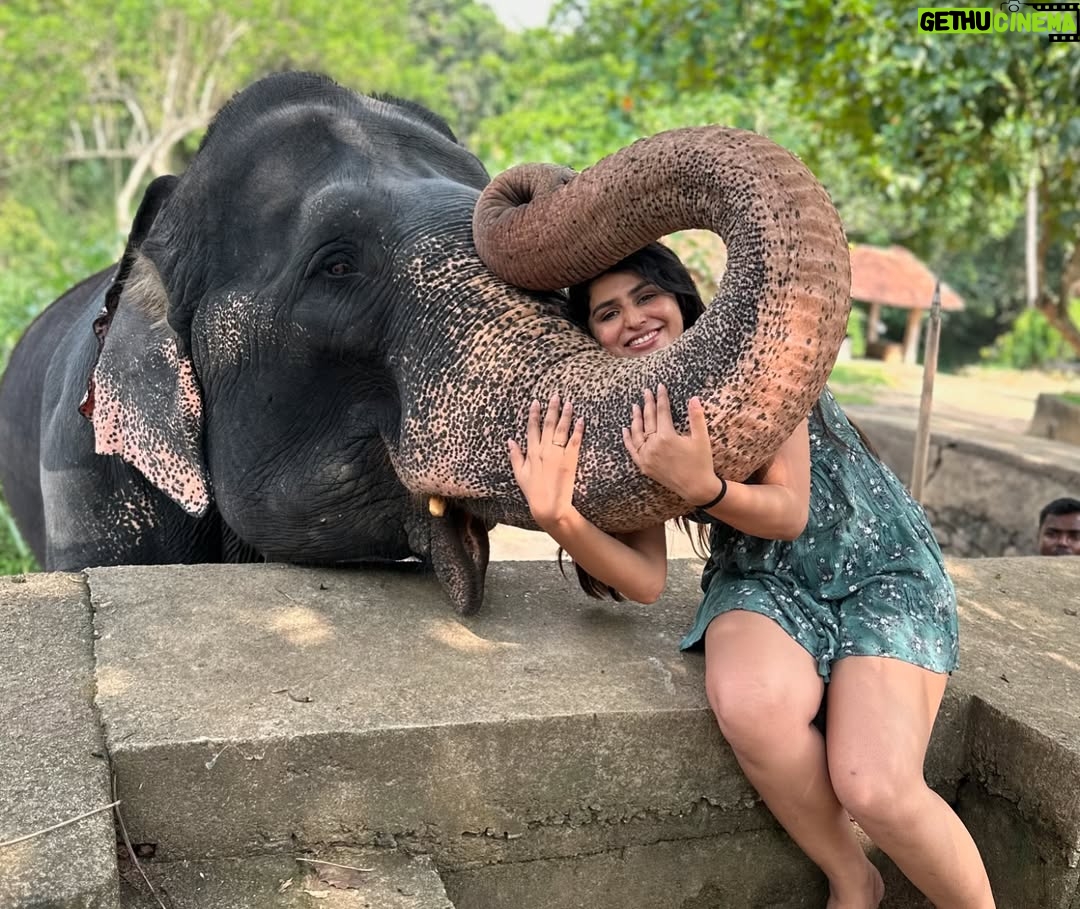 Sharanya - 38.6K Likes - A day with poooja 🐘❤️
Pc @sharanshetty8088
#pooja #elephant #sharanyashetty #srilanka #travel #sharanya #cutelilelephant #🇱🇰 #vacation #staycation #india #travellor