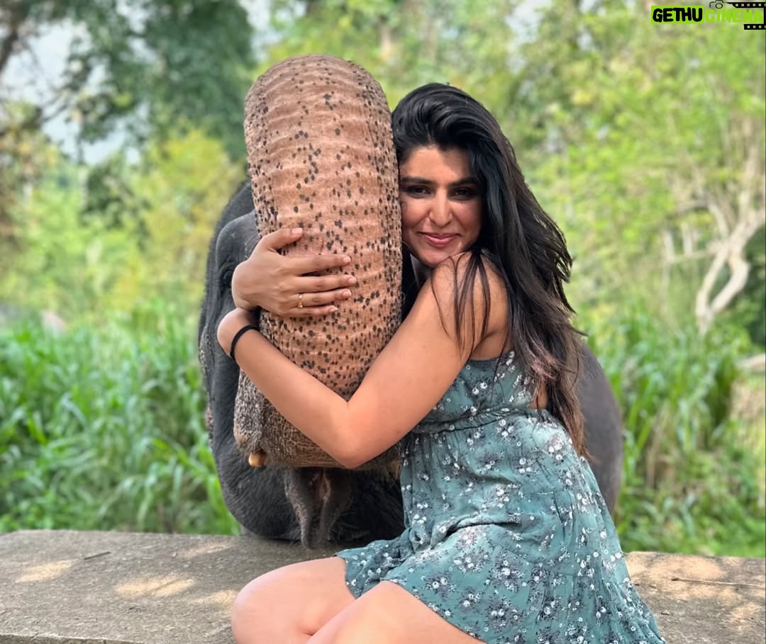 Sharanya - 38.6K Likes - A day with poooja 🐘❤️
Pc @sharanshetty8088
#pooja #elephant #sharanyashetty #srilanka #travel #sharanya #cutelilelephant #🇱🇰 #vacation #staycation #india #travellor