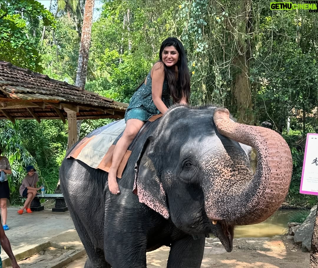 Sharanya - 38.6K Likes - A day with poooja 🐘❤️
Pc @sharanshetty8088
#pooja #elephant #sharanyashetty #srilanka #travel #sharanya #cutelilelephant #🇱🇰 #vacation #staycation #india #travellor
