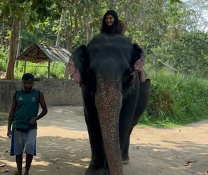 Sharanya Instagram - A day with poooja 🐘❤️

Pc @sharanshetty8088 

#pooja #elephant #sharanyashetty #srilanka #travel #sharanya #cutelilelephant #🇱🇰 #vacation #staycation #india #travellor