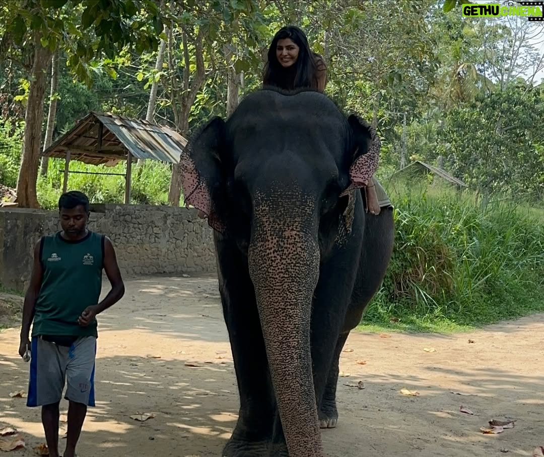 Sharanya - 38.6K Likes - A day with poooja 🐘❤️
Pc @sharanshetty8088
#pooja #elephant #sharanyashetty #srilanka #travel #sharanya #cutelilelephant #🇱🇰 #vacation #staycation #india #travellor