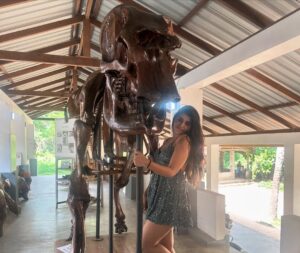 Sharanya Instagram - A day with poooja 🐘❤️

Pc @sharanshetty8088 

#pooja #elephant #sharanyashetty #srilanka #travel #sharanya #cutelilelephant #🇱🇰 #vacation #staycation #india #travellor