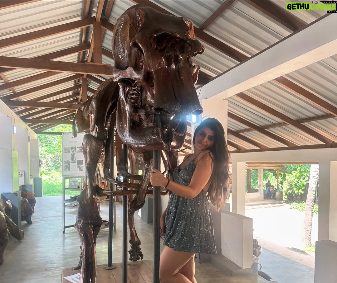 Sharanya - 38.6K Likes - A day with poooja 🐘❤️
Pc @sharanshetty8088
#pooja #elephant #sharanyashetty #srilanka #travel #sharanya #cutelilelephant #🇱🇰 #vacation #staycation #india #travellor