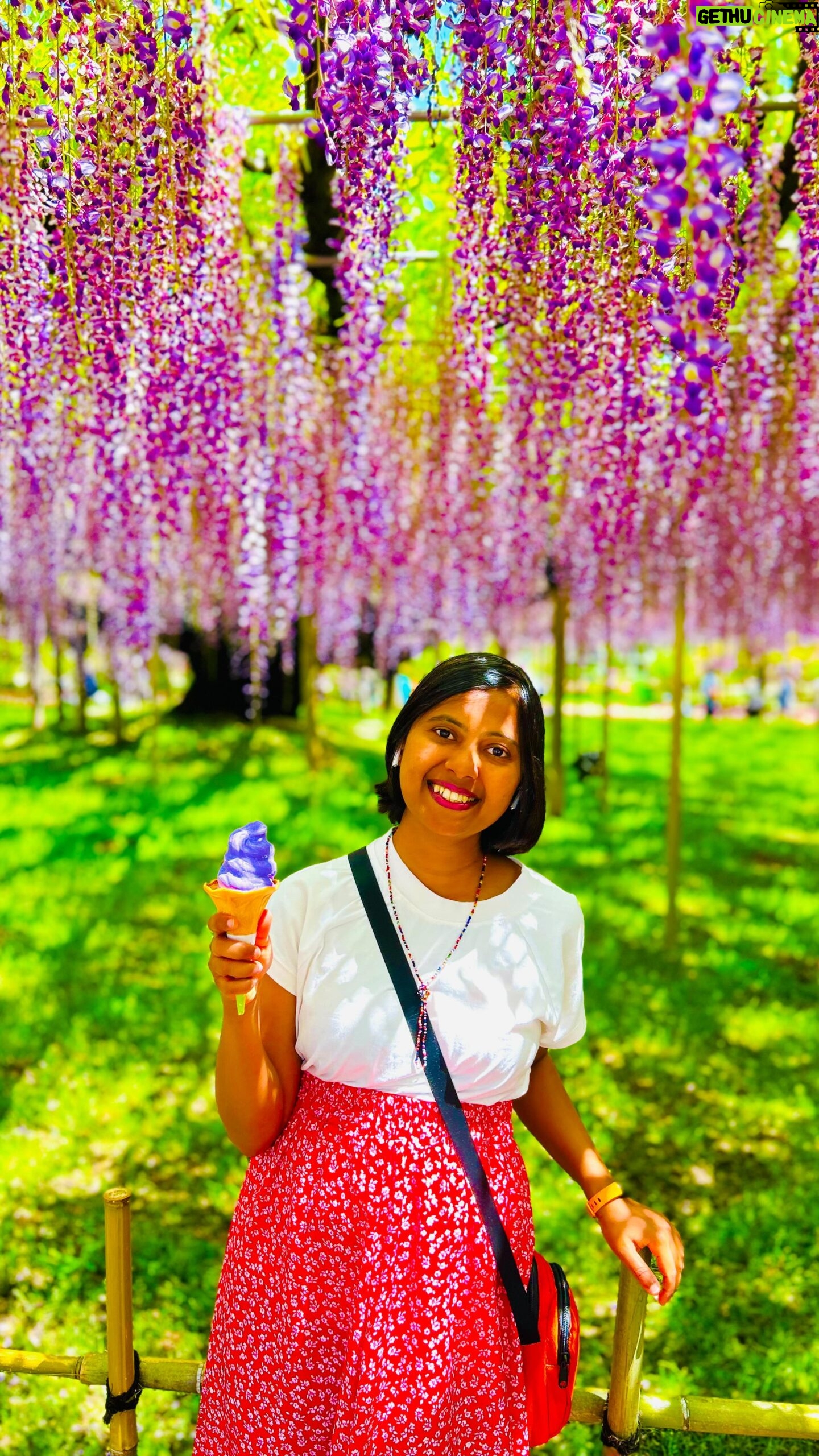 Shwetha Aradhya - 8.1K Likes - Ashikaga Flower Park at Tochigi Prefecture.