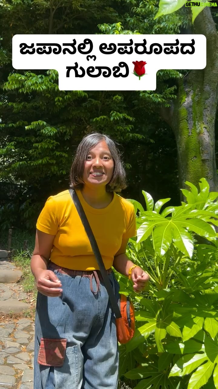 Shwetha Aradhya - 11.1K Likes - Tokyo is blooming with roses everywhereš¹
.
.
.
.
#roses #kannadareels #kannadatiinjapan #lalbagh #japantravel #loveflower #kannadasongs
šKyu-Furukawa Garden
Tokyo, Japan