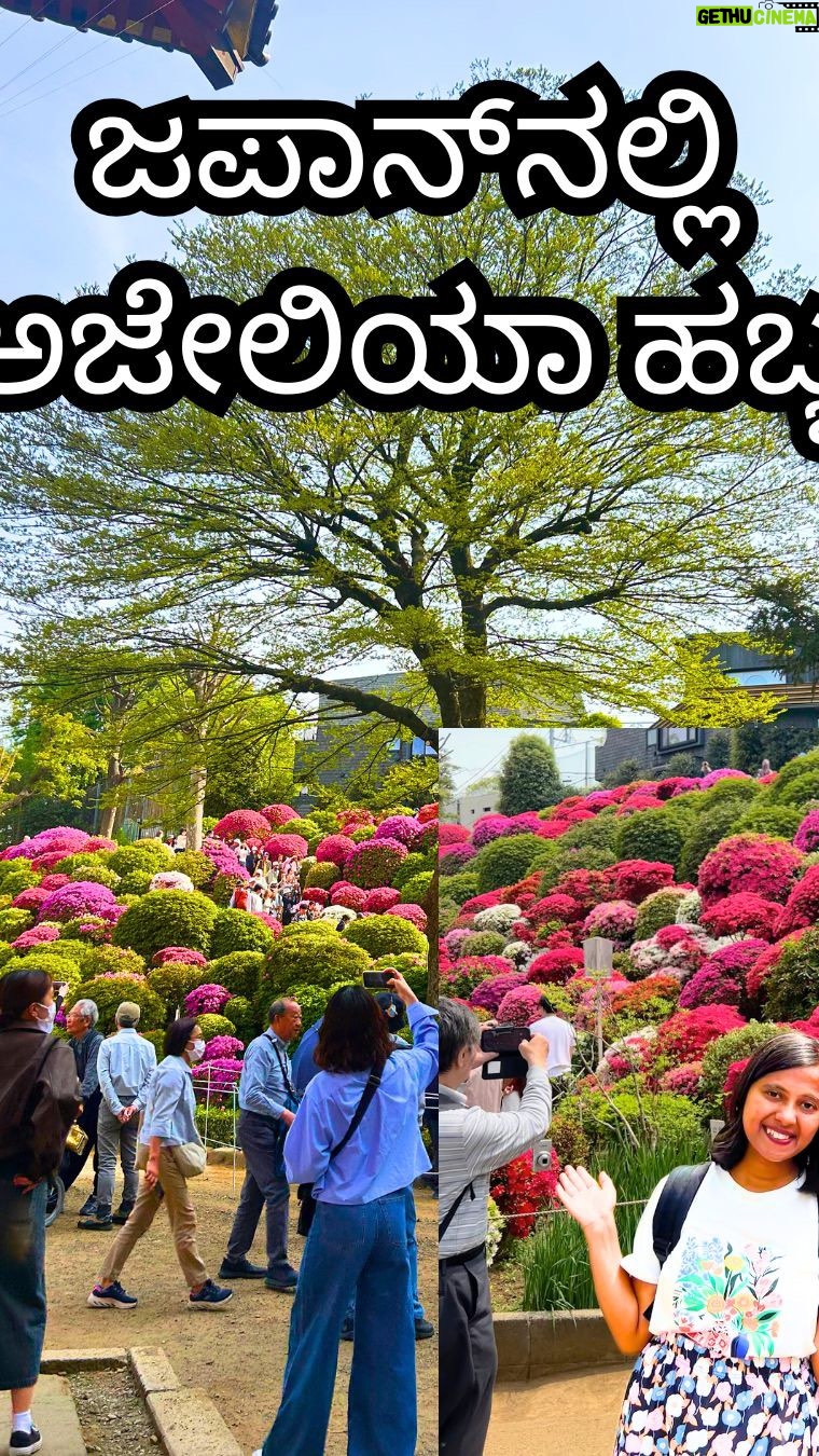 Shwetha Aradhya - 11.5K Likes - ą²ą²¾ą²®ą²Øą²¬ą²æą²²ą³ą²²ą²æą²Øą²ą²¤ą³ ą²ą²¾ą²£ą³ą²µ ą²ą²Ŗą²¾ą²Øą²æą²Ø ą²¹ą³ ą²¤ą³ą²š Nezu Shrineās Azalea Festivalā©ļø
.
.
.
.
#nezushrine #azalea #kannadareels #kannadatiinjapan #japantravel #loveflower #rainbow #kannadasongs #karnataka
How to reach there:
š Nezu Station (Chiyoda Line): Exit 1; approximately a 5-minute walk to the shrineās south entrance.
šSendagi Station (Chiyoda Line): Exit 2; about an 8ā10 minute walk to the north entrance.
šNezu Jinja Shrine
Tokyo, Japan