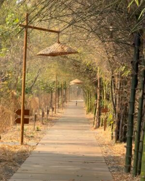 Sri Sudha Bhimireddy Instagram - Memories from my last trip with  @baghvillas from #kanha @kanha_tr_official …  A 5 star experience I had in this trip.. specifically I have to mention about the forest of kanha tiger reserve… well maintained by the #forestdelartment of @kanha_tr_official @mptfs.official ….❤️❤️🐅🐅❤️❤️..
Special  note about my stay…well executed staff and well trained and knowledgeable naturalists @sheikh__ibrahim99 ..