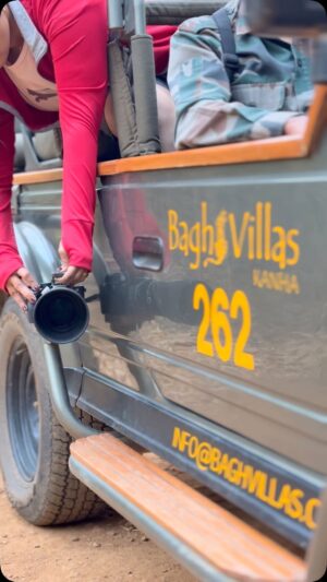 Sri Sudha Bhimireddy Instagram - KANHA Is my first choice when I decided to do wildlife safari…
This was my first tiger called DJ from #kanha #mukkigate sighted in MAY2023 . In 2024MAY, I visited kanha SECOND TIME From a different gate, and sighted the same tiger with 3 cubs…. 
Being Kanha one of  my favourite parks, I love to visit this park not just bcoz of TIGERS, , the habitat of the jungle is just beautiful and well maintained by the forest department and most importantly washrooms are sanitised and cleaned… thanks to @mptfs.official @mptourism …
The drivers and guides are well knowledgeable and well disciplined…..

DJ Is such a beautiful TIGRESS  and was my FIRST TIGER  In the JUNGLE…..

Last and most importantly mentioned point is the stay
 I was here  @baghvillas ❤️…
The naturalists @sheikh__ibrahim99 & @prahlad__bisen are justified with their experience during safari and they r just defined in positioning the vehicle and maintaining distance with the wild animals…
What a pleasant and comfortable stay I experienced here is overwhelming me. Cant wait to comeback here again 🫰😎
Thank you @baghvillas