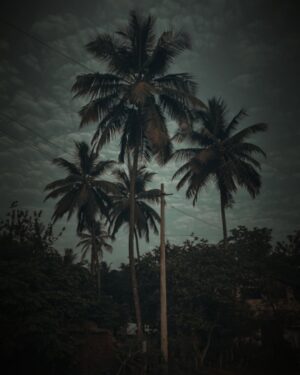 Sukrutha Nag Instagram - 