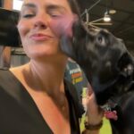 Taylor Cole