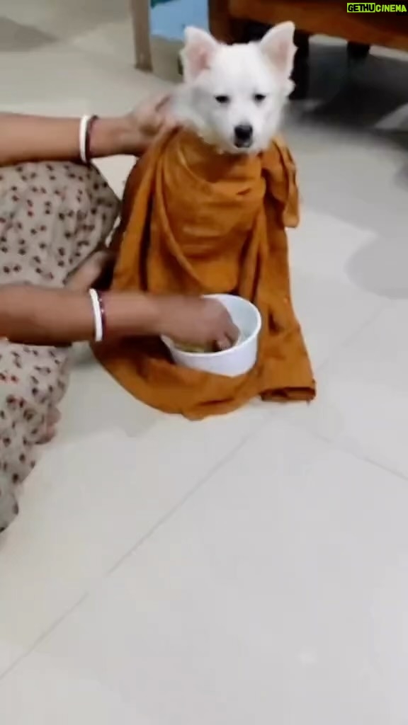 Tonto Dikeh - 3 Likes - Nobody is allowed to waste food again oh, even snow😂😂.
#explore #funny