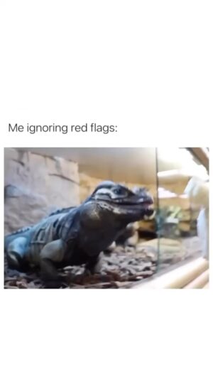 Tonto Dikeh Instagram - How we ignore red flags in people

#explore #funny