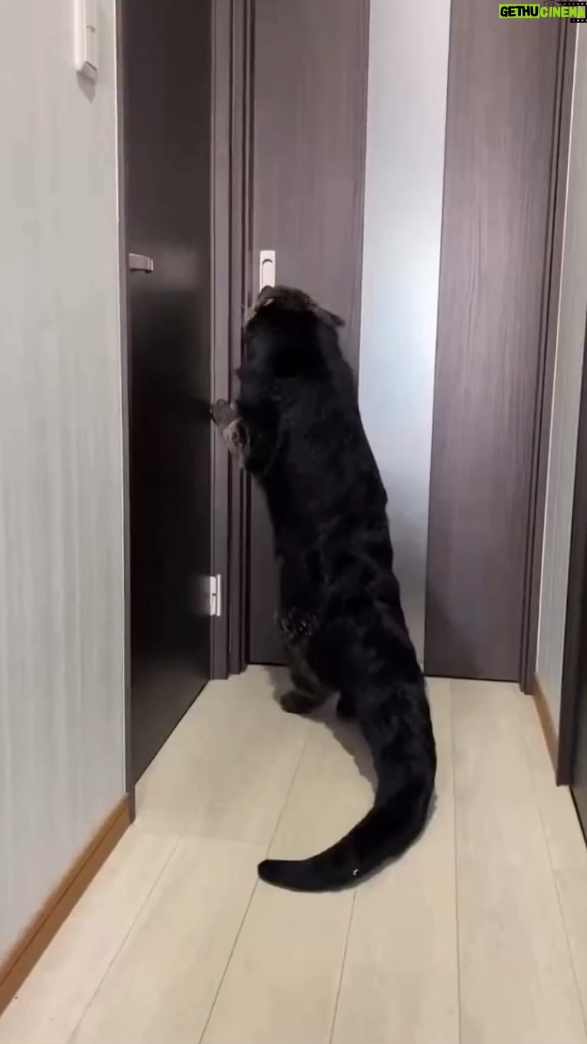 Tonto Dikeh - 3 Likes - What Animal is this??
#explore
